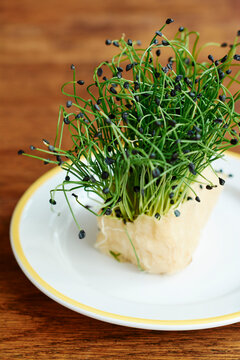 Garlic chives cress