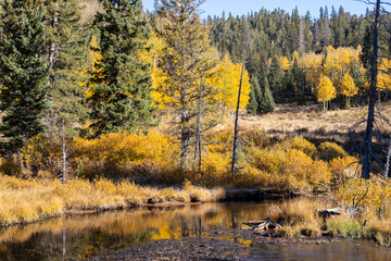 Autumn on Anne-Marie Falls Trail