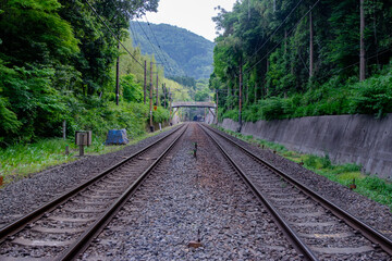 railway in the forest