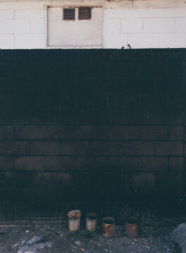wall