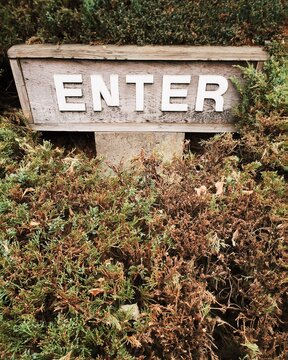 Enter