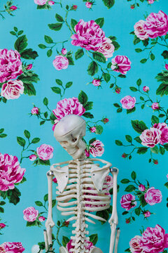 skeleton