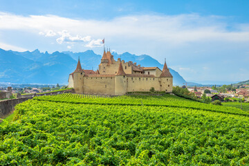 Fototapeta na wymiar Chateau d'Aigle in Canton Vaud, Switzerland. Aigle Castle overlooking surrounding terraced vineyards and Swiss Alps. Rows of vines growing during the summer.Wine region with popular wine tasting tours