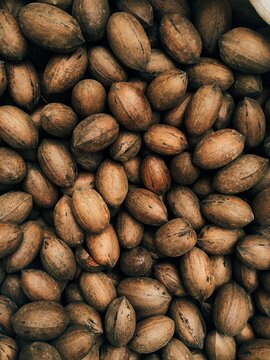 Nuts / Beans