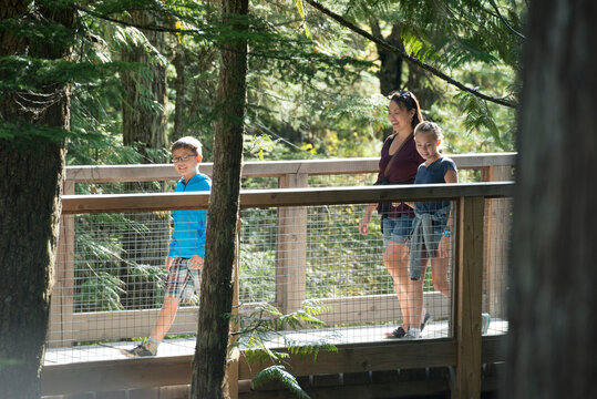 Family Hiking Through Woods