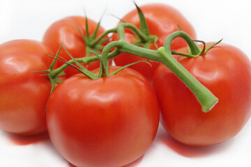 Tomatoes isolated on a white background. Red tomatoes on a twig on a white background. Closeup