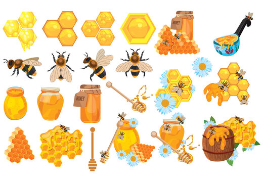 Cartoon Beehive Photos Royalty Free Images Graphics Vectors Videos Adobe Stock