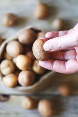 Small potatoes in men's hands. Baby potatoes. Harvest of small potatoes. Macro.