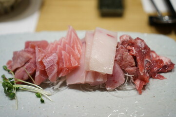 본참치 본격적인 참치요리