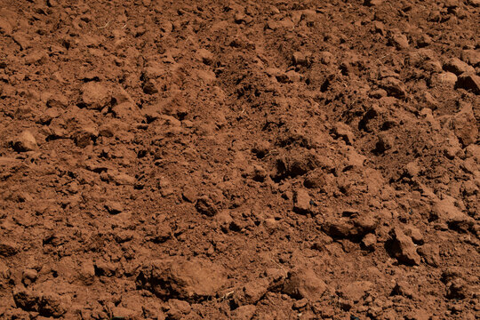 brown soil background