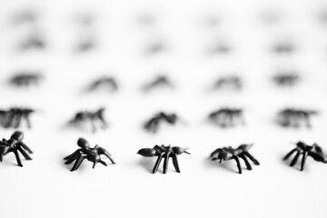 Halloween still life