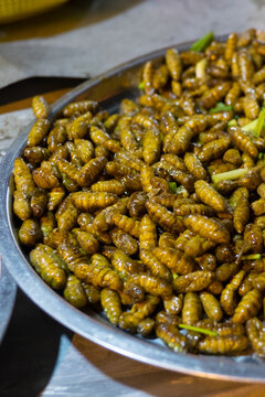 Edible bugs and insects at a night market in Cambodia