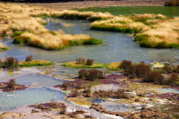 Rainbow abstract natural background. Grass growth on hot spring. Hot spring formation.