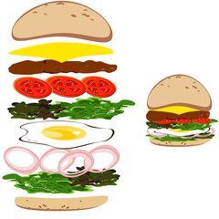 Burgers meat eggs onions tomatoes cheese american food illustration vector.