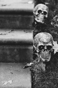 Skulls line the steps of a home's front walk