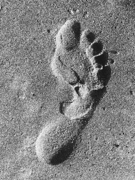Foot print on beach, close up