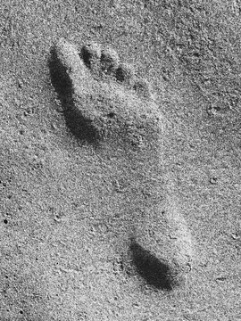 Foot print on beach, close up
