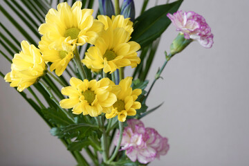Obraz na płótnie Canvas chrysanthemum flowers