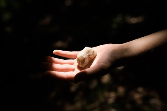hand holding a piece of marble in a ray of sunlight