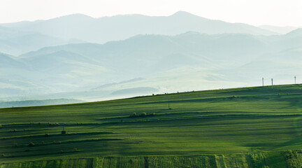 Landscape of hills and cultivated green land