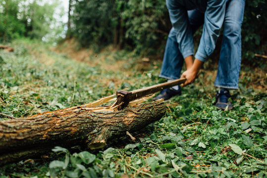 Close up of lumberjack splitting a log
