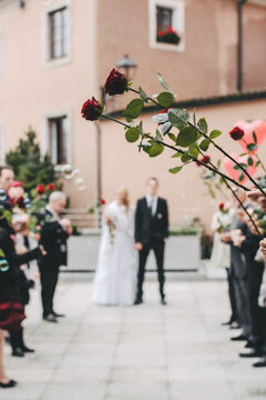 friends celebrating just married couple with soap bubbles and red roses
