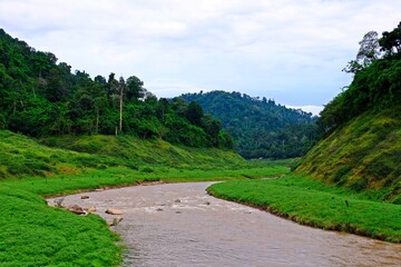 Fototapeta na wymiar Water stream passing through tropical rain forest surrounded with green mountains. 