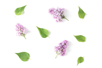 minimalistic pattern laid out with lilac flowers and green leaves. white background, flat lay, top view