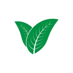 leaf logo