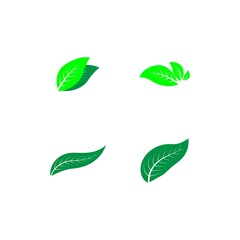 leaf logo