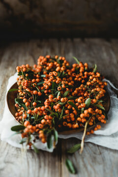 Orange pyracantha berries