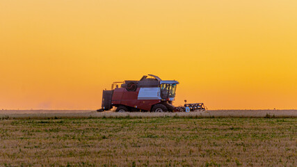 Fototapeta premium Wheat harvest in the fields at sunset. Technique against an orange sky