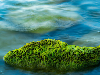Water abstract: lake water flowing over submerged rocks with green algae in foreground