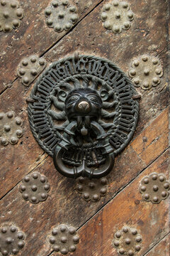 Lionhead door handle on an old door