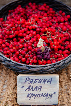 Rowanberry in a basket