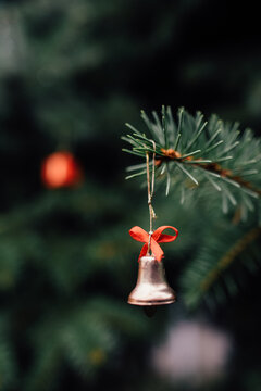 Close up of Christmas decoration on the outdoors pine tree