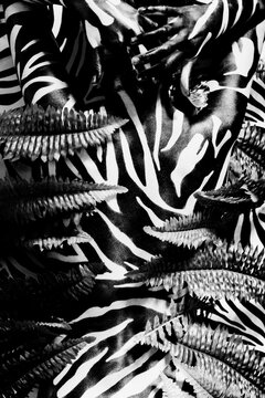 Zebra stripes on woman's back among the plants