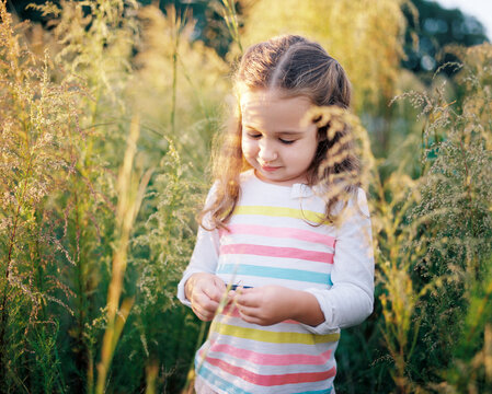 Portrait of a beautiful young girl playing in a field of tall grass