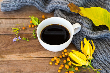 hot coffee espresso , knitting wool scarf and yellow flower ylang ylang ,yellow leaves of lifestyle...
