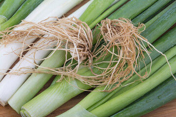close up image of chopped spring green onions on a white background.