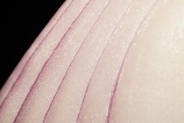 Red onion close macro