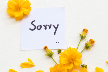 i am sorry message card handwriting with yellow flowers cosmos arrangement flat lay postcard style on background white