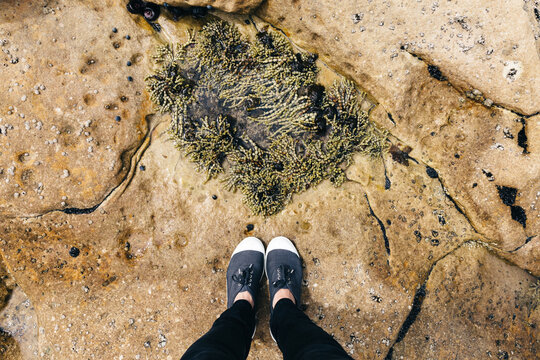 Looking down on woman's feet and Neptunes necklace seaweed