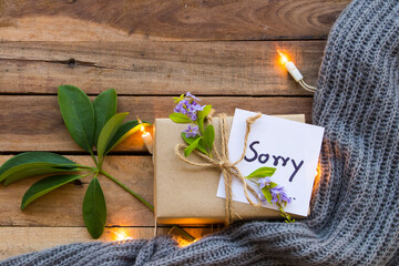 i am sorry message card handwriting with gift box , light and knitting wool scarf in winter season...