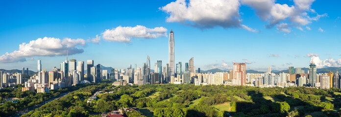Shenzhen Futian CBD City Skyline