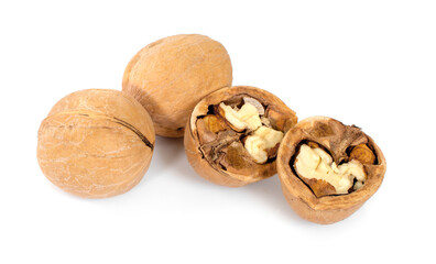 walnuts an isolated on white background