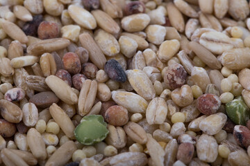 miscellaneous grains, millet, minor grains, various grains.