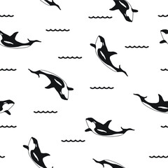 beautiful seamless orca whale with black and white background