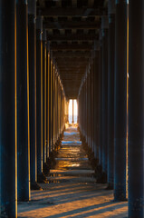 Fototapeta premium Under The Pismo Beach Pier