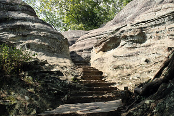 rock in the forest